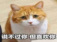 苏州向宁次商贸有限公司