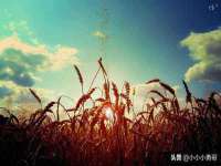 苏州向宁次商贸有限公司