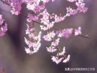 苏州向宁次商贸有限公司