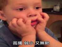 苏州向宁次商贸有限公司