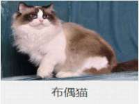 苏州向宁次商贸有限公司