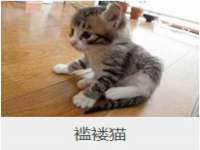 苏州向宁次商贸有限公司