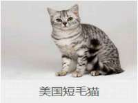 苏州向宁次商贸有限公司