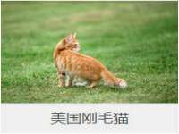 苏州向宁次商贸有限公司