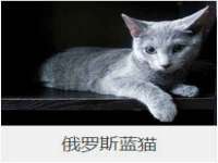 苏州向宁次商贸有限公司