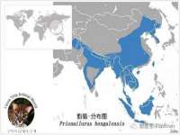 苏州向宁次商贸有限公司