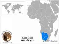 苏州向宁次商贸有限公司
