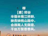 苏州向宁次商贸有限公司