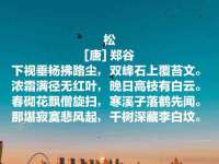 苏州向宁次商贸有限公司