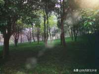 苏州向宁次商贸有限公司