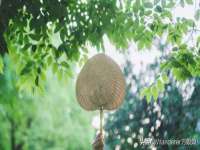 苏州向宁次商贸有限公司