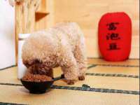 苏州向宁次商贸有限公司