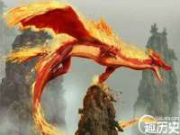 苏州向宁次商贸有限公司