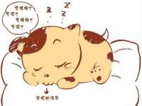 苏州向宁次商贸有限公司