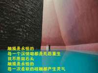 苏州向宁次商贸有限公司