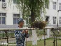 苏州向宁次商贸有限公司