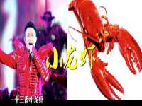 苏州向宁次商贸有限公司